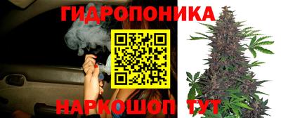 стафф Вязники